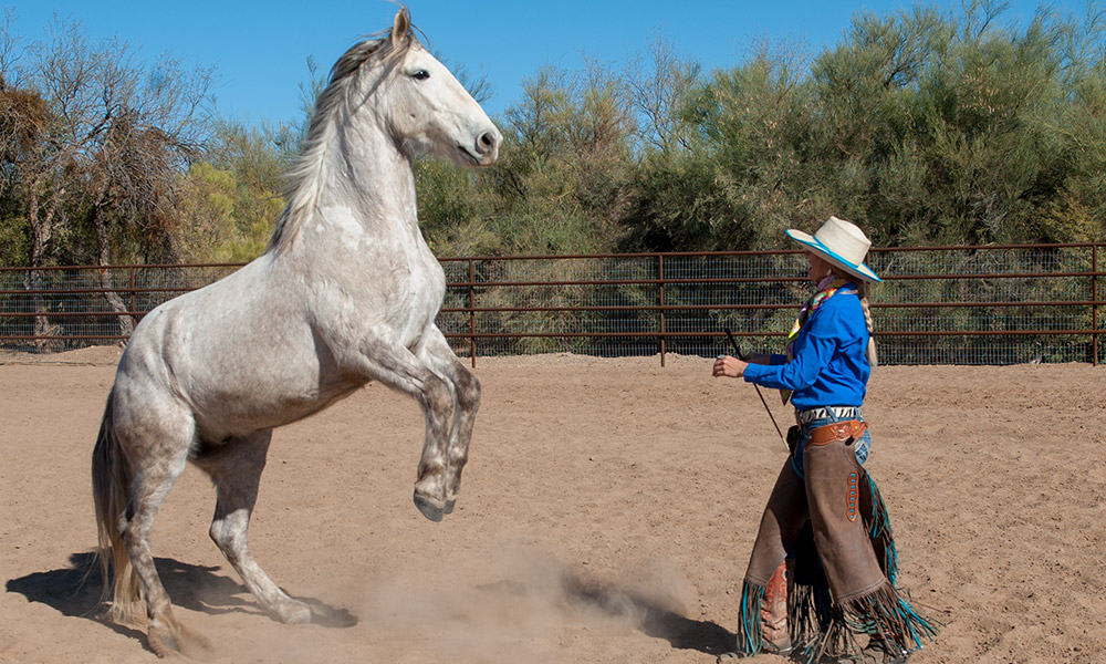 Mustang Maddy - Trainer